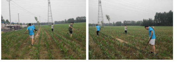 说明: W020190721413630325014